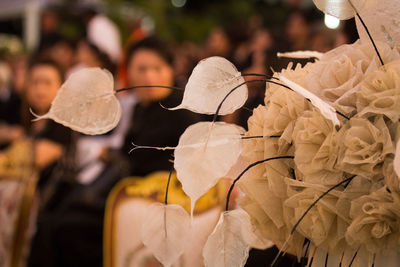 Close-up of flowering plant for sale in market