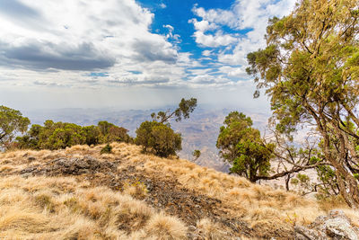 Scenic view of landscape against sky