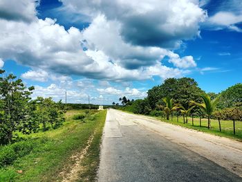 Empty road along trees and plants against sky