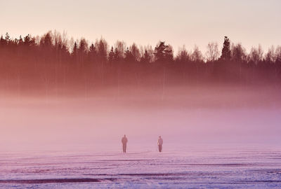 Scenic view of trees on land against sky during sunset