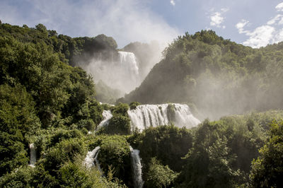 Panoramic view of waterfall in forest