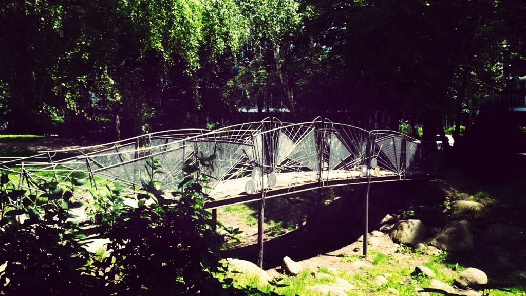 tree, growth, plant, built structure, green color, low angle view, forest, branch, architecture, nature, connection, railing, no people, outdoors, lush foliage, bridge - man made structure, day, sunlight, tranquility, steps