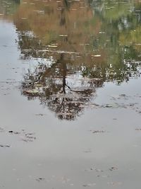 High angle view of birds in lake