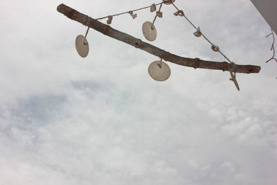 Low angle view of lighting equipment hanging on tree against sky