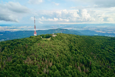 Scenic view of plants and trees against sky