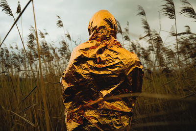 Rear view of statue on field against sky