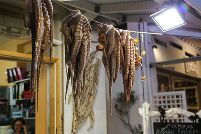 Low angle view of octopus hanging outside a window of a restaurant 