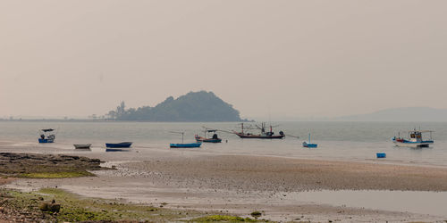 Scenic view of beach against clear sky