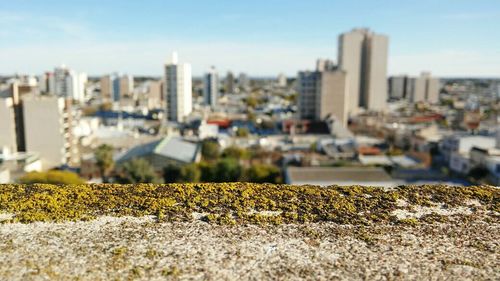 Surface level of cityscape