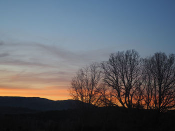 Silhouette bare trees against sky during sunset