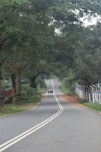 Car on road by trees in city