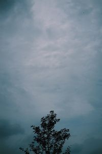 Low angle view of tree against cloudy sky