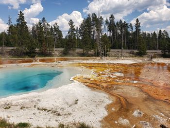 The hot springs, and colorful paint pools in the yellowstone national park are out of this planet.