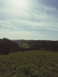 Scenic view of field against sky