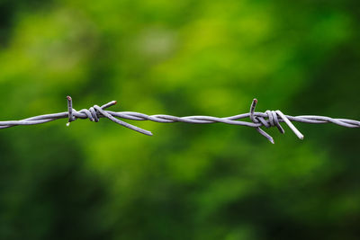 Close-up of an old iron barbed fence and a soft focus green bokeh background