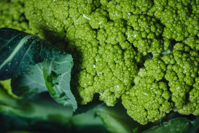 Full frame shot of green leaf