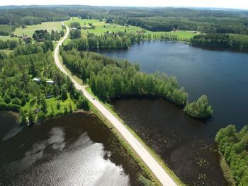 High angle view of river amidst trees