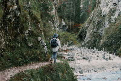 Rear view of girl wearing backpack, hiking in forest in autumn