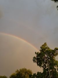 Low angle view of trees against rainbow in sky