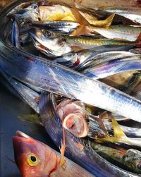 Close-up of fish for sale in market