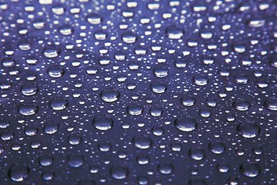 Close-up of water drops on leaf