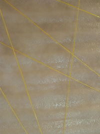 Full frame shot of tiled floor