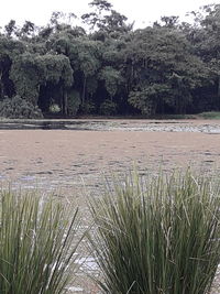 Scenic view of river against sky