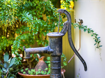 Close-up of faucet in garden