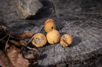 Close-up of dry fruits on table