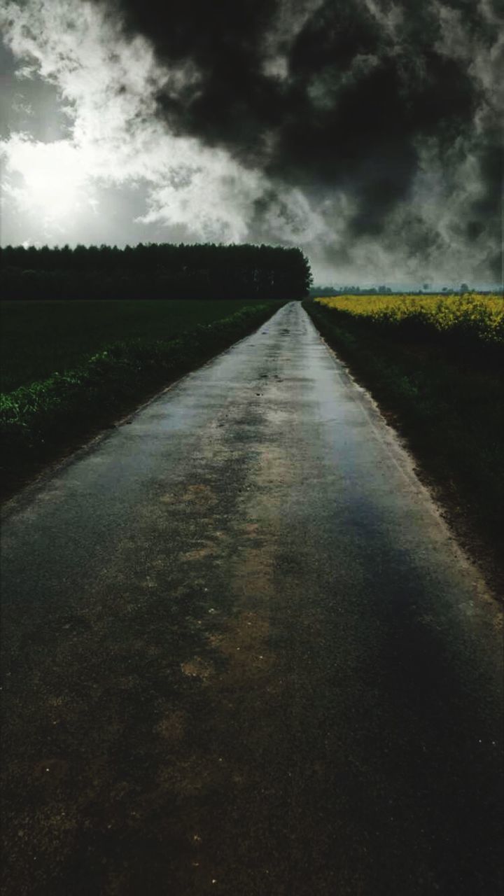 EMPTY ROAD ON FIELD DURING RAINY SEASON