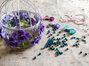 High angle view of purple flowering plants on glass table