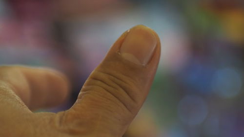 Close-up of hand holding leaf