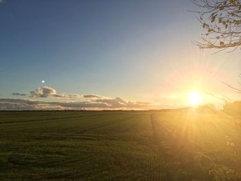 Scenic view of field against sky during sunset