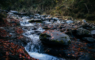 River stream amidst rocks in forest
