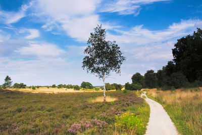 Scenic view of field and trees against sky