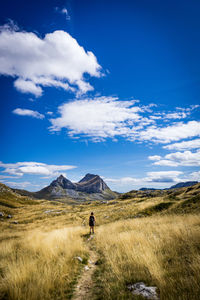 Scenic view of landscape against sky person walking away