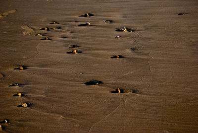 High angle view of pebbles on a beach