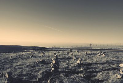 People on beach against clear sky during sunset