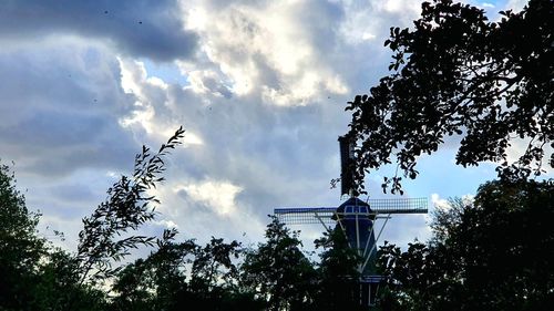 Low angle view of silhouette trees and plants against sky