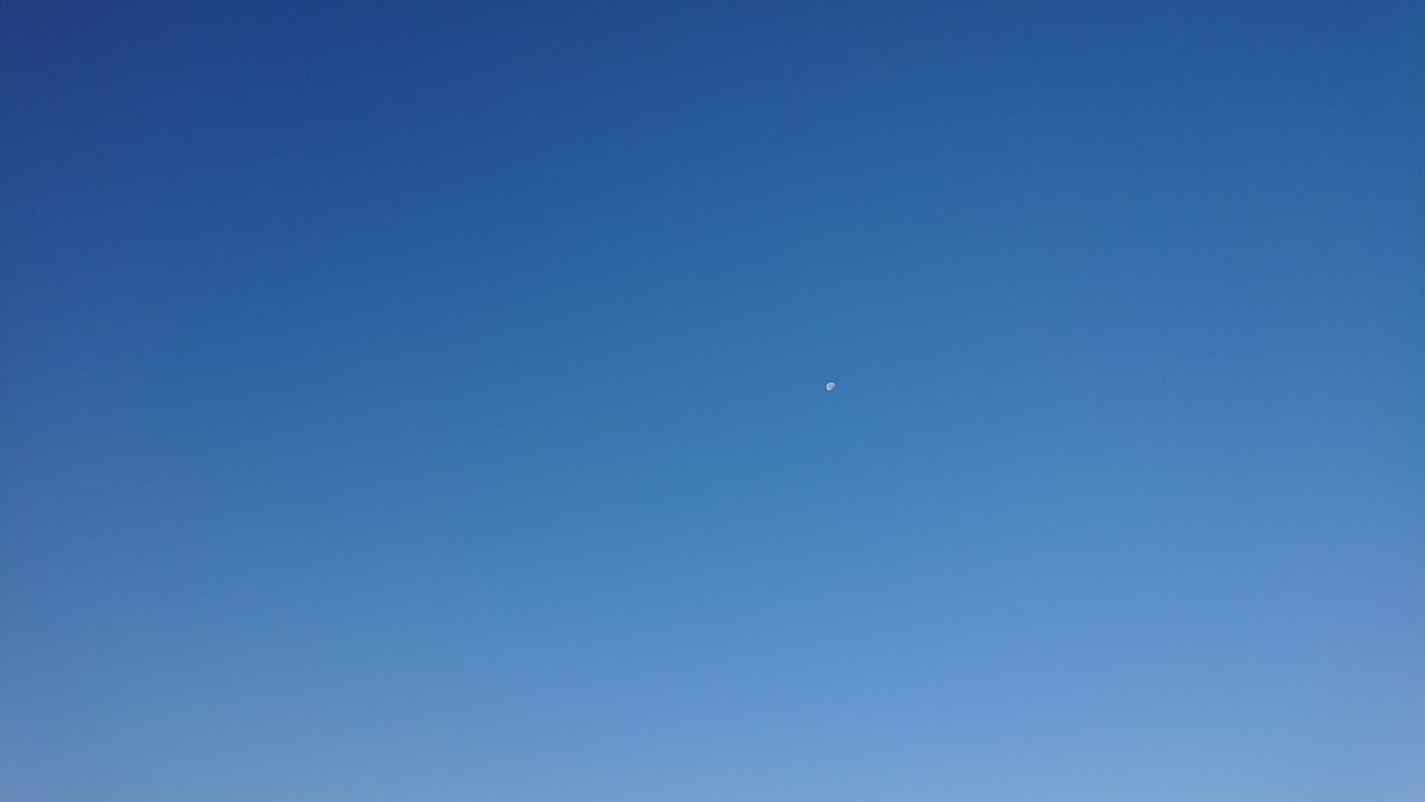 LOW ANGLE VIEW OF MOON IN CLEAR SKY