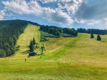 Scenic view of field against sky