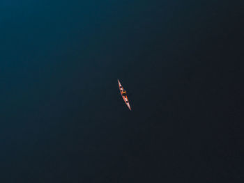 View of fish swimming in sea