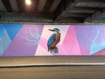 Bird perching on wall