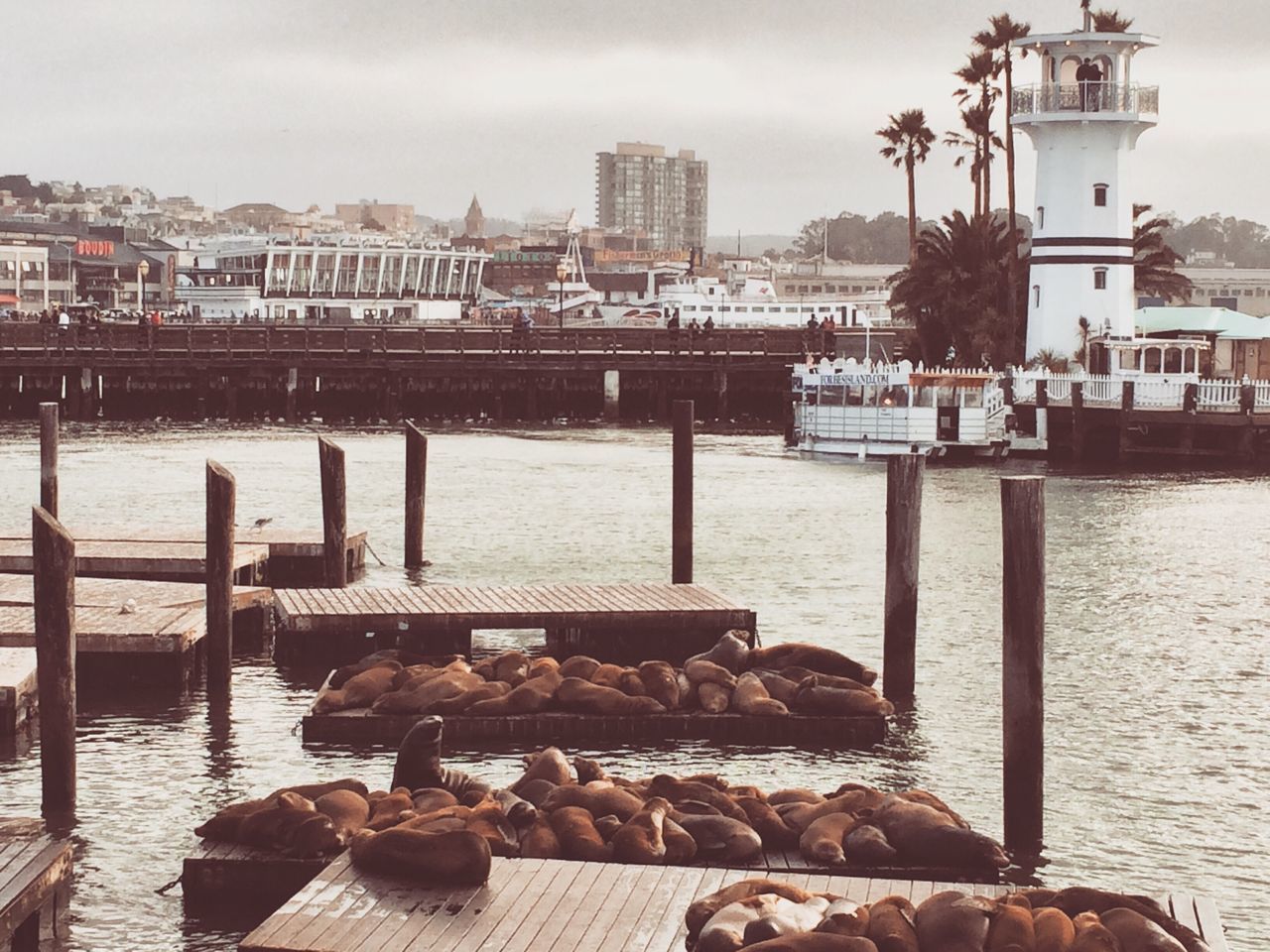 architecture, built structure, building exterior, water, sky, city, outdoors, day, no people, nautical vessel