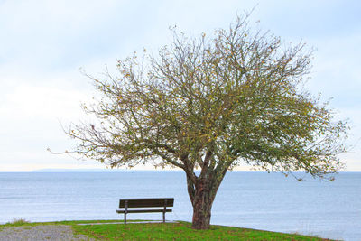 Bench in park by sea against sky
