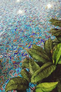 High angle view of multi colored leaves statue in water