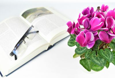 Pink flowers with book and eyeglasses on table