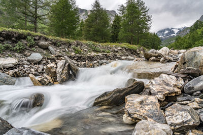 Stream flowing through rocks in forest