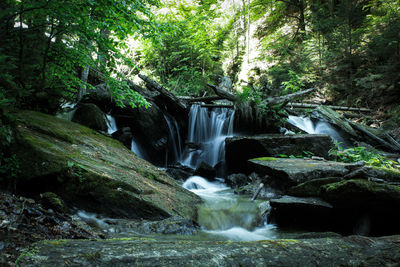 Waterfall in forest