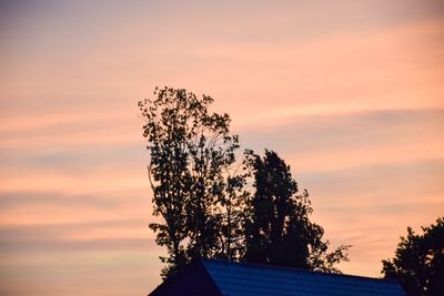 Low angle view of silhouette tree against sky during sunset